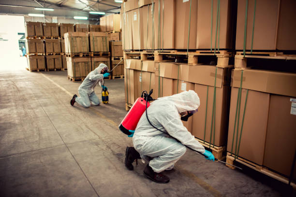 Best Pest Removal Services  in Bellevue, IL