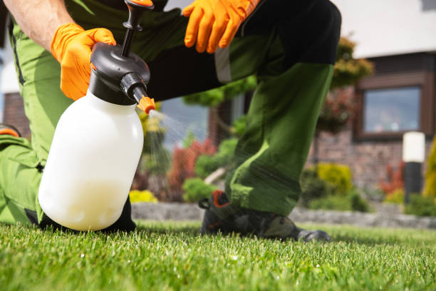 Best Pest Prevention Services  in Bellevue, IL