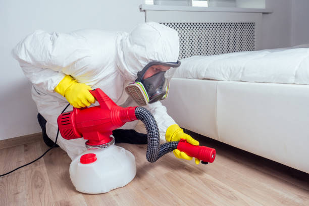 Best Mosquito Control Services  in Bellevue, IL