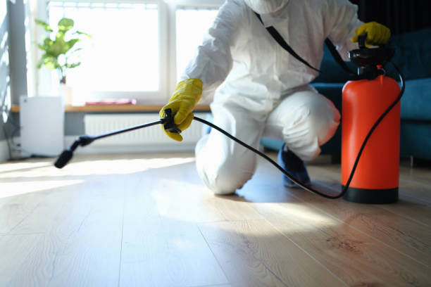 Best Residential Pest Control  in Bellevue, IL