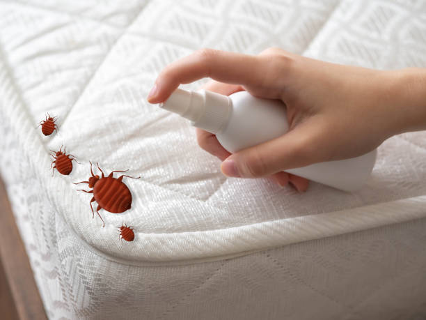 Best Pest Control Cost  in Bellevue, IL