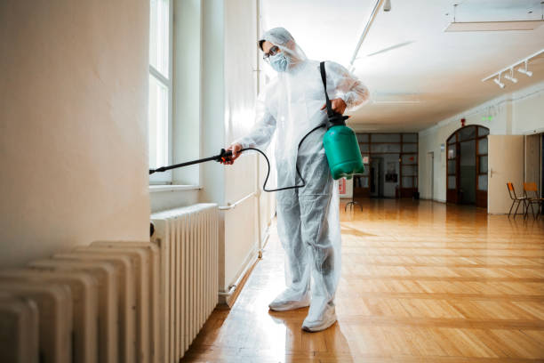 Best Rat Extermination Near Me  in Bellevue, IL