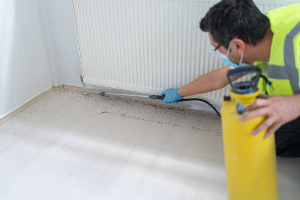 Best Mosquito Control Services  in Bellevue, IL