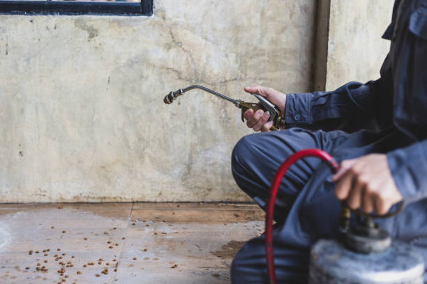 Pest Control for Restaurants in Bellevue, IL